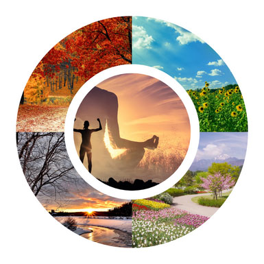 Image showcasing the conceptg of seasonal eating. A circle with images of the four seasons and a woman meditating in the center.